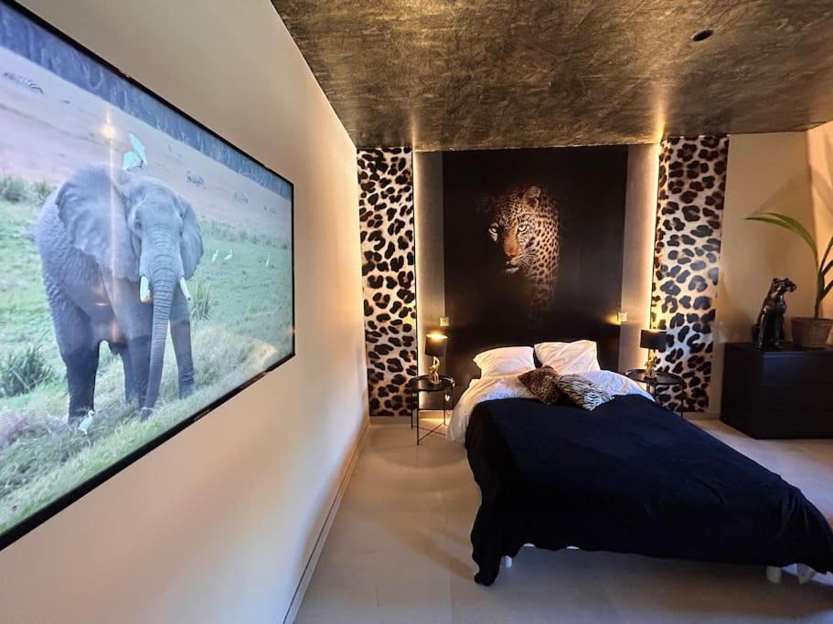 Esprit Africa, Spa Et Sauna De Luxe 牟罗兹 外观 照片